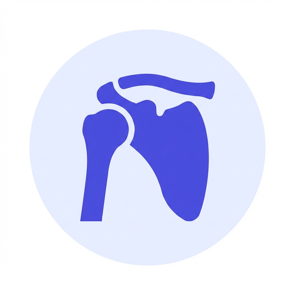 Плечевой сустав